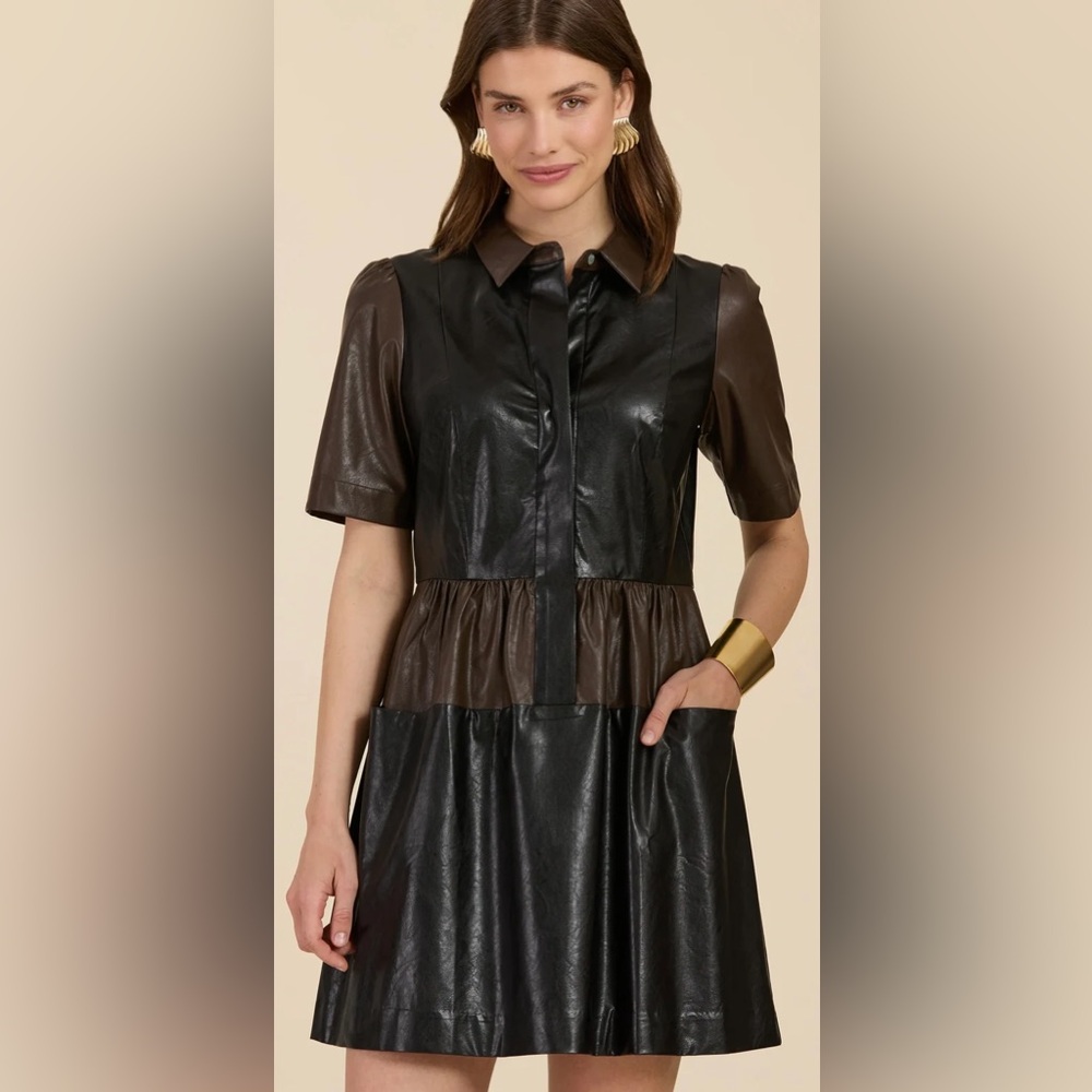 Tyler Boe Mitzi Vegan‎ Leather Color Block Dress